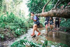 BIB: 
                            <button type="button" onclick="openModal(25515968)" class="btn btn-primary btn-sm float-right btn-popup" data-toggle="modal" data-target=".modal-high-quality">
                        <i class="fas fa-shopping-cart"></i> Add to Cart
                    </button>
                                            <button type="button" onclick="isThisMe(25515968, true)" class="btn btn-success btn-sm float-right btn-popup btn-isme hidden" data-toggle="tooltip" data-placement="bottom" title="นี่คือรูปของคุณใช่ไหม คลิกที่นี่เพื่อเอาเข้าอัลบั้ม">
                        <i class="fas fa-plus"></i> Add to album
                    </button>
                    <button type="button" onclick="isThisMe(25515968, false)" class="btn btn-warning btn-sm float-right btn-popup btn-isnotme hidden">
                        <i class="fas fa-ban"></i> Remove from album
                    </button>